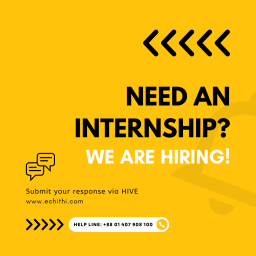 System Support Executive