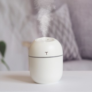 220ml White - TEGG USB Powered Desktop Humidifier