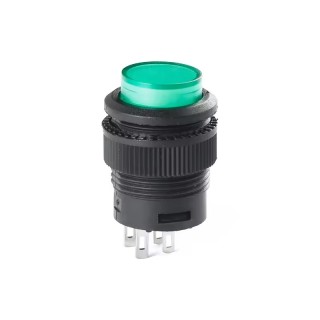 220V AC Green - R16-503 Self-Reset Round Push Switch with Illumination