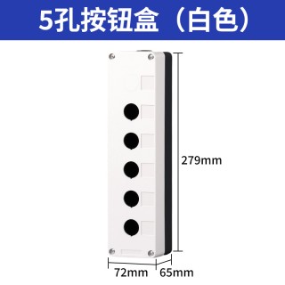 BX5 White - 22mm Switch Hole Waterproof Control Box