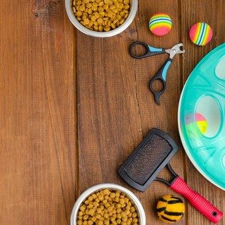 Pet Care and Food