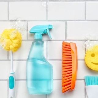 Floor and Toilet Cleaning